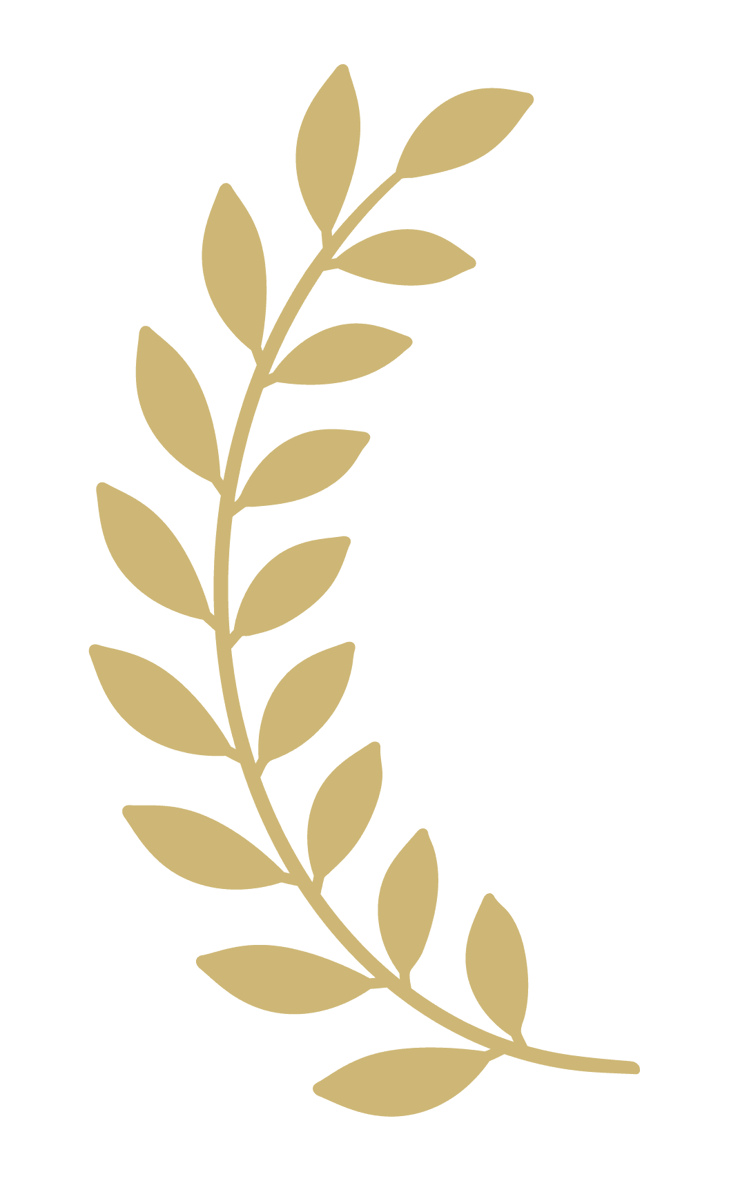 Laurel