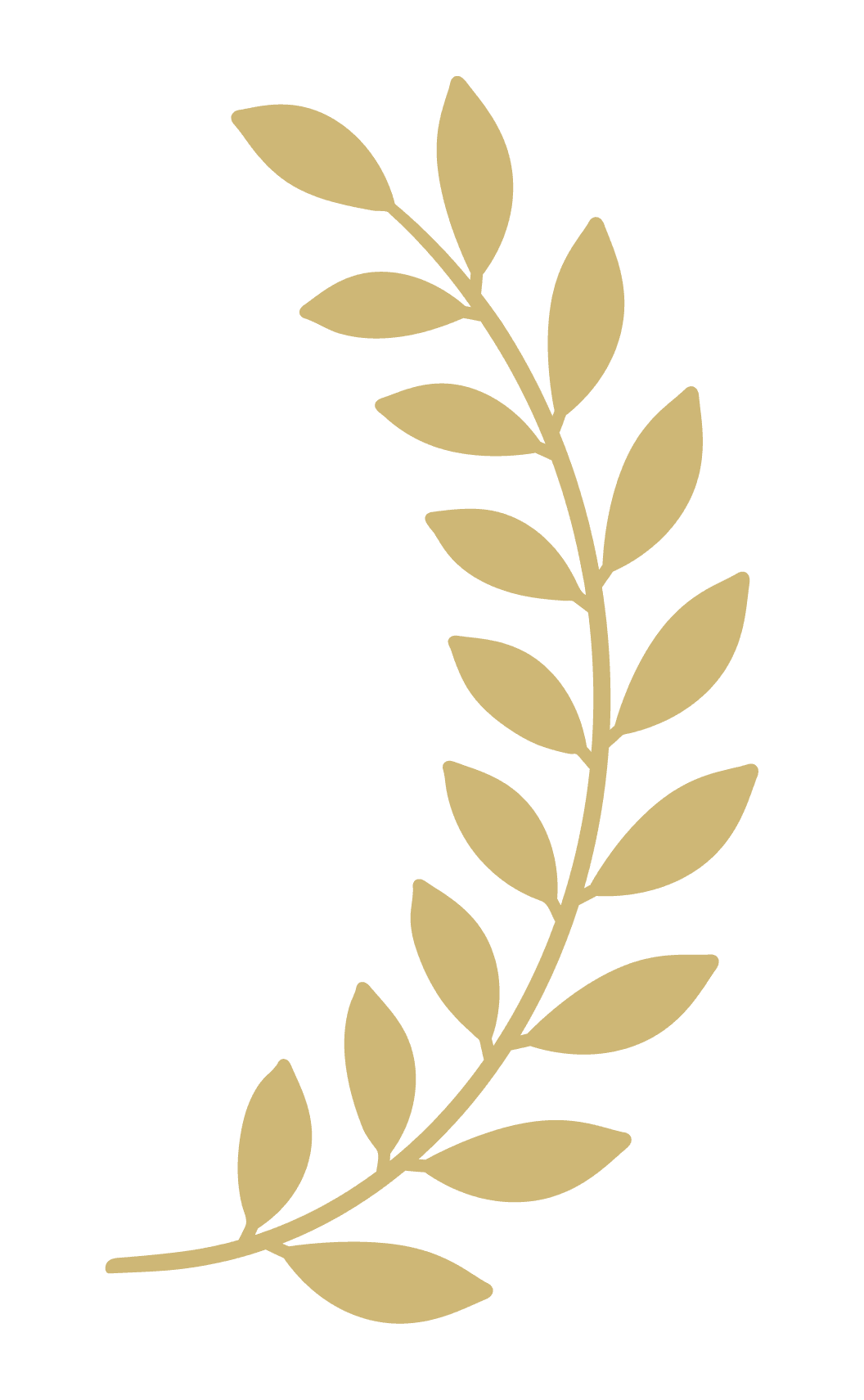 Laurel